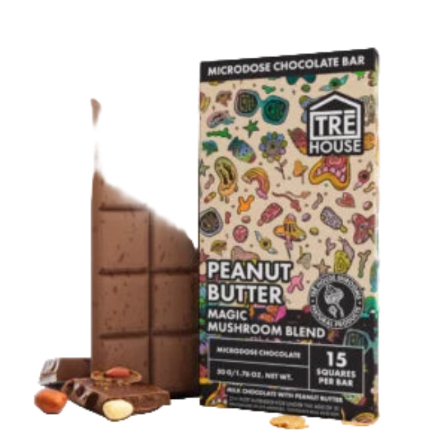 TRE House Magic Mushroom Peanut Butter Bars